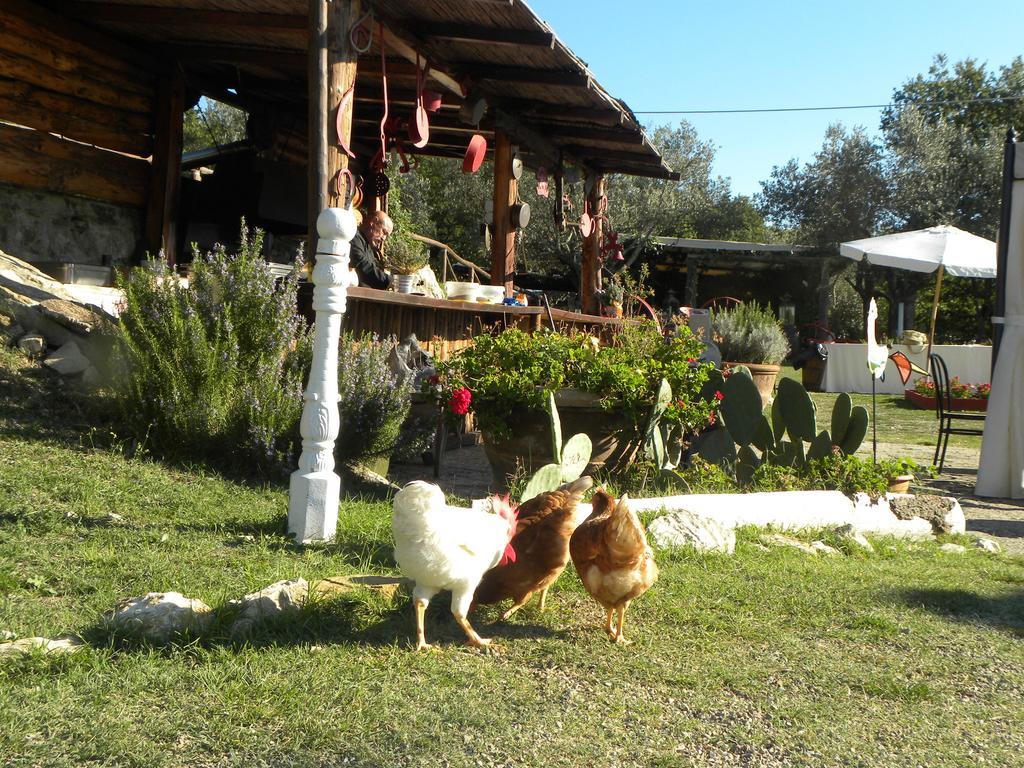Country Resort Il Frassine Rignano Sull Arno Bagian luar foto