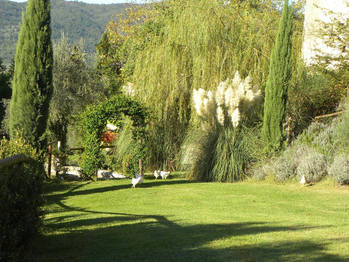 Country Resort Il Frassine Rignano Sull Arno Bagian luar foto